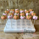 Pumpkin Cake Pops - Made to Order - Sweets on a Stick